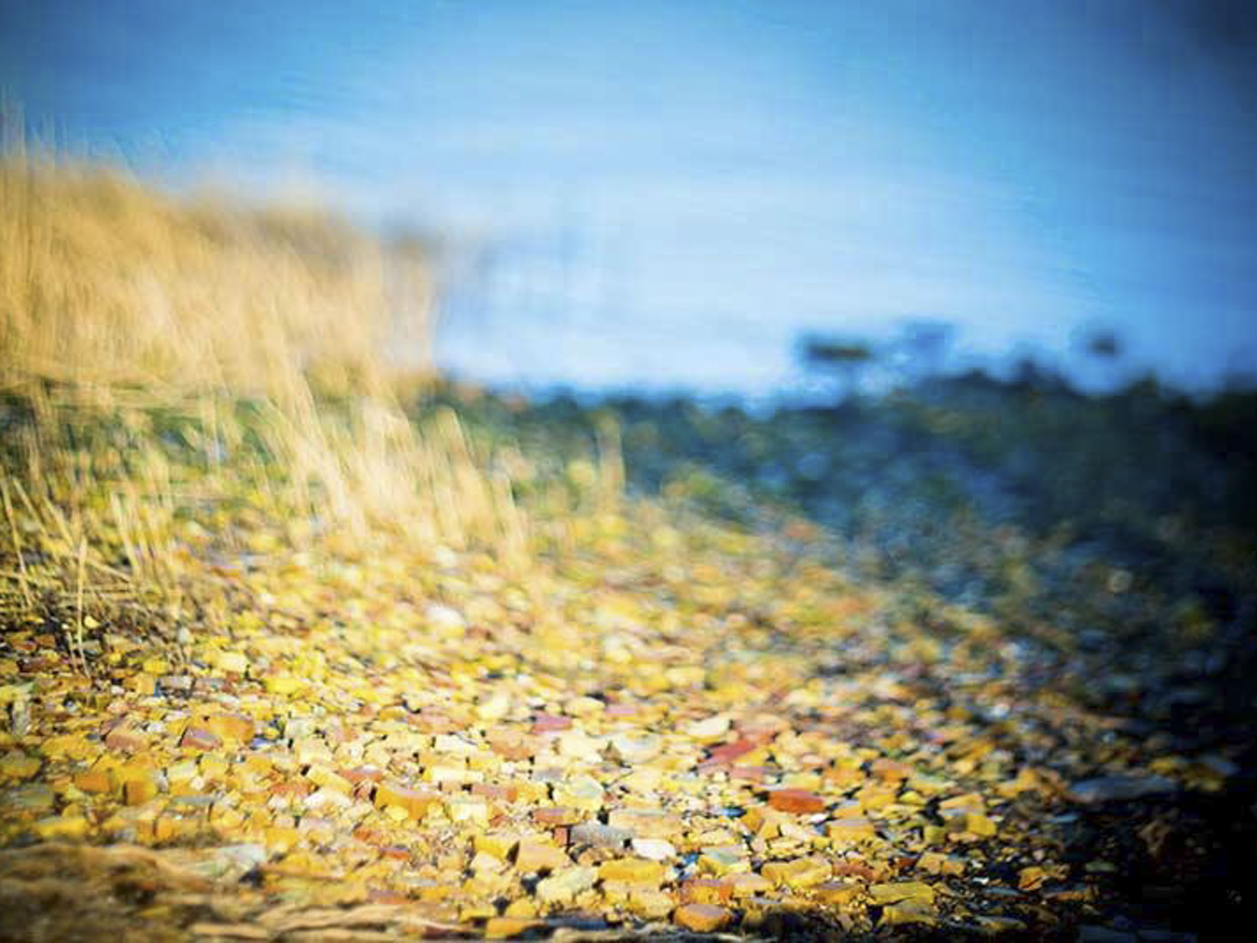 75972_1427398347498547_1828472649_n